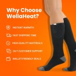 WellHeater image
